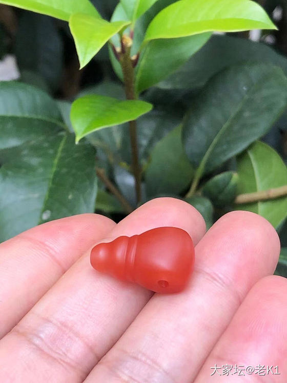 好色之徒_南红