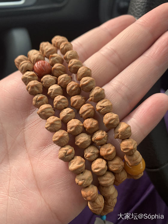 横打百香籽真的是看书好伴侣_珠串菩提子
