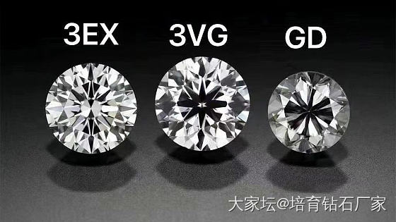 所有你乐意挥霍的时光都不能算作浪费_钻石