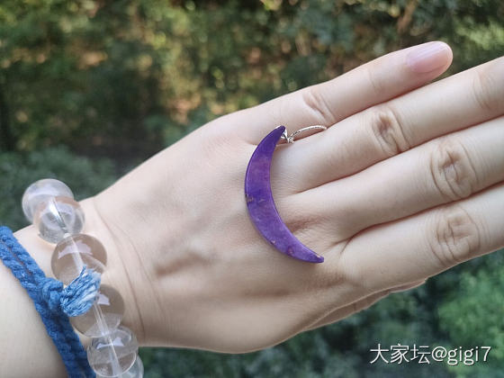 是老料吗？_舒俱来