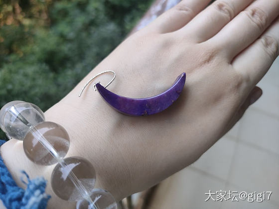 是老料吗？_舒俱来