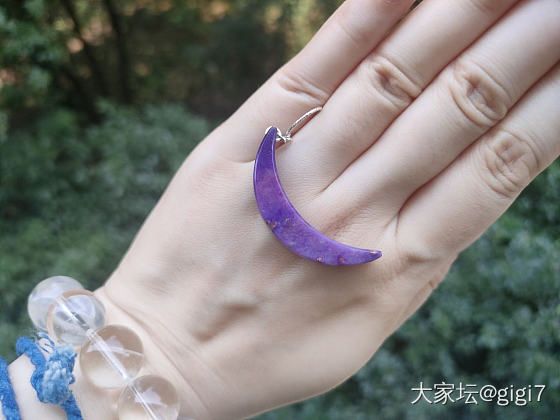 是老料吗？_舒俱来