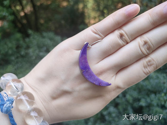 是老料吗？_舒俱来