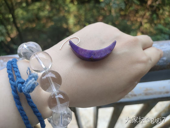 是老料吗？_舒俱来