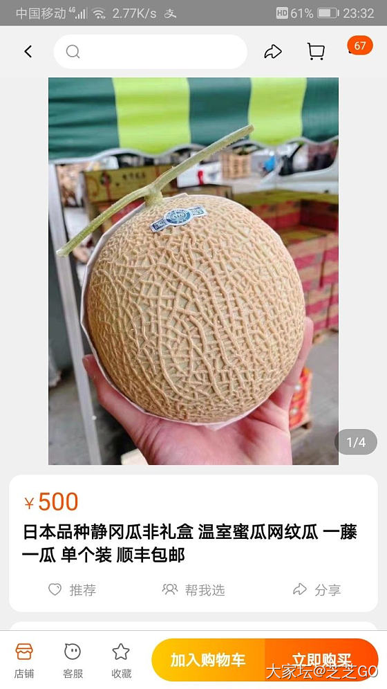 淘宝最低卖500一个的蜜瓜😂_水果