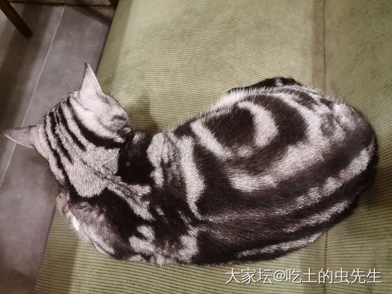 我的一次退货经历~~_淘宝