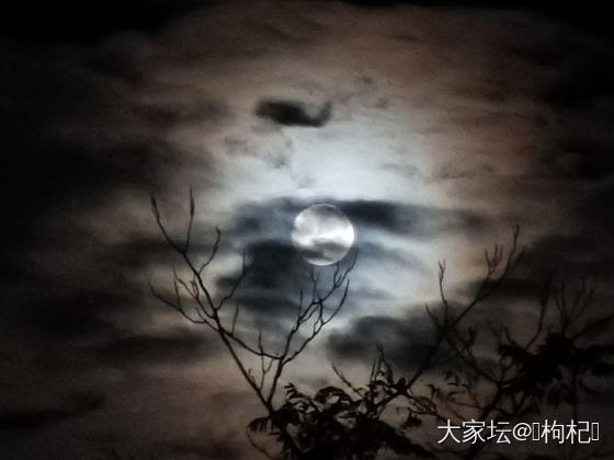 但愿人长久，千里共婵娟_手镯银