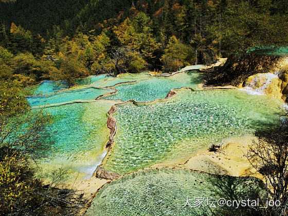 九寨黄龙归来
九寨黄龙归来腿已废，但不虚此行，美图献上，共赏。_景色