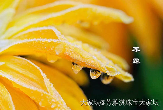 寒露💧今日寒露。
秋天的第五个节气，
今年第一个带“寒”的日子。
深秋的气息越来...