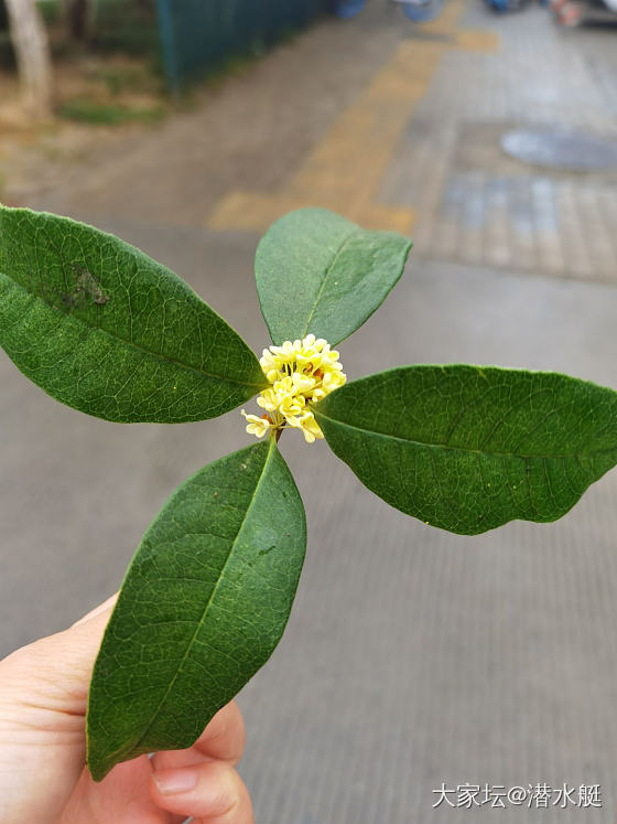 一到下雨天就喜欢来点恨绵绵_银