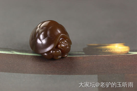 萌宠😄_和田玉