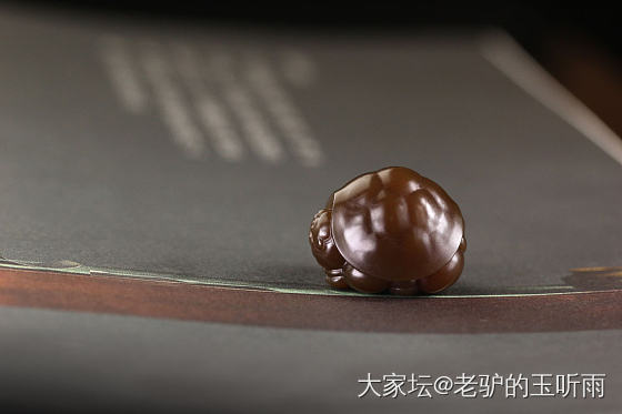 萌宠😄_和田玉