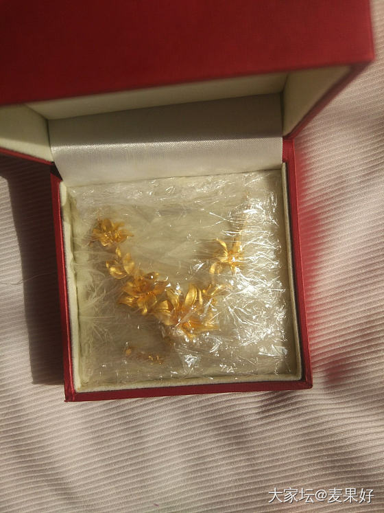 日常摆拍，还是更喜欢素金。_金