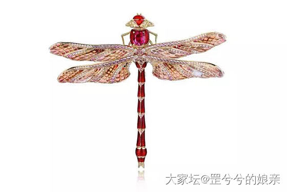 那些年，我心水过的小蜻蜓_首饰