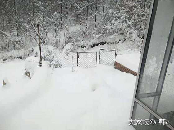 千树万树雪花开，背上一堆吃的喝的踏雪去_景色