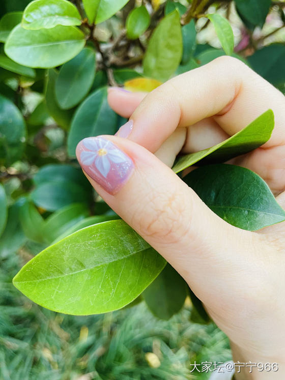 今天刚刚出炉的美甲，与大自然如此和谐😁_丽人