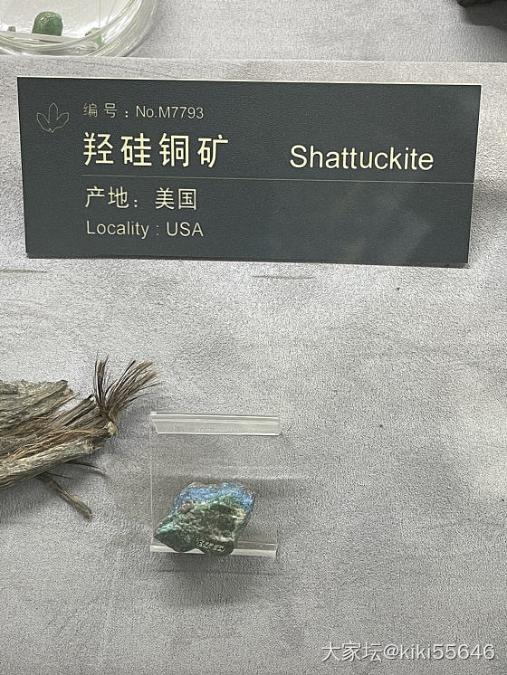 我要发个好长好长的帖～_矿物标本博物馆