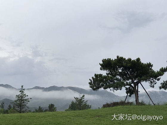 麻将镯周一就出货啦，而我今天才看到_金