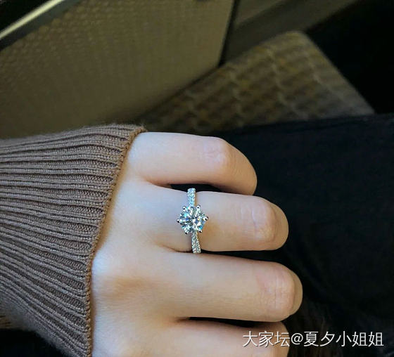 培育钻真香呀