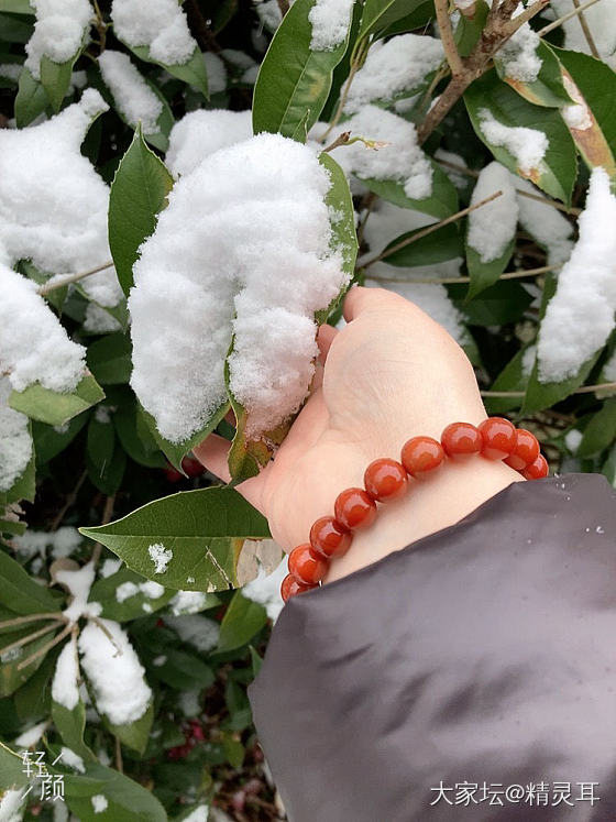 下雪啦🌨_玉髓玛瑙