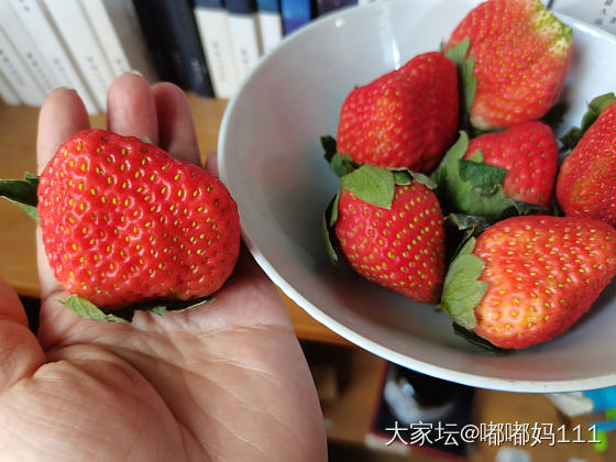 十块钱一斤的草莓_水果