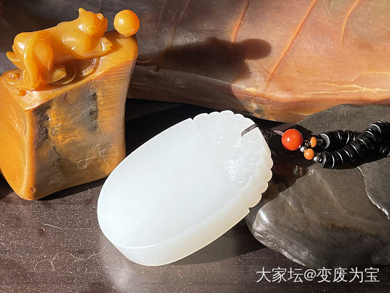想给鉴赏期的牌子拍张美照，换了各种绿叶来衬托，大家帮我选择一下，哪张最美呢？_和田玉