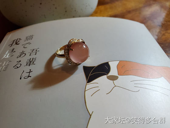 冰粉荷露_南红