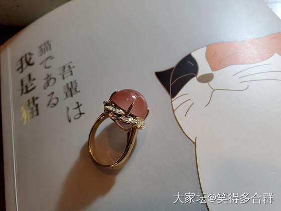 冰粉荷露_南红