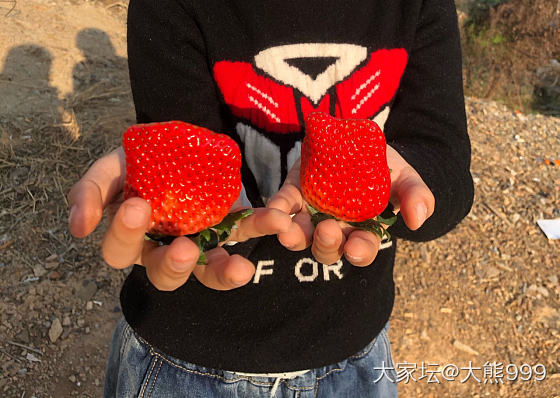 菜市场18一斤的草莓_水果