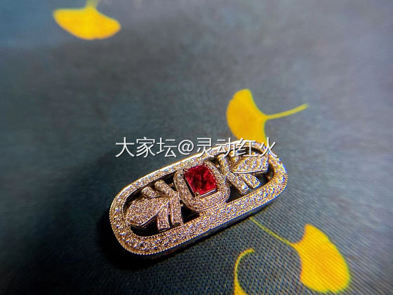 期待我的胸针扣头两用款到来！商家图也石美美的！_首饰