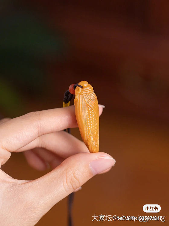 籽料玉米好可爱啊_和田玉