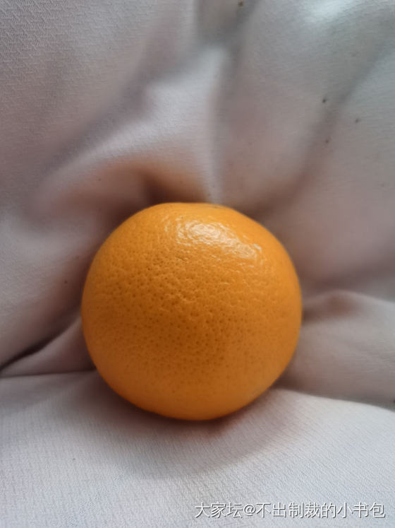 凑单的血橙意外的好吃_水果