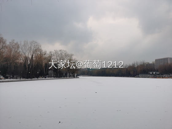 瑞雪兆丰年
朋友之前给我diy了一天飞牛的珍珠手链，寓意虽好，但今年太艰难了！不..._金