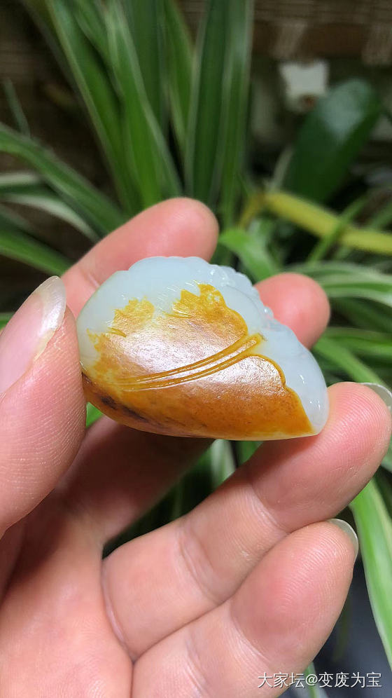 上次大开门籽料又来了，这次是在自然光下拍摄，请各位专家继续点评😄_和田玉