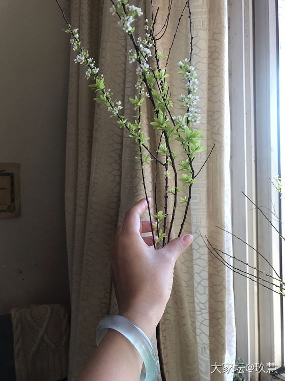 春天的味道！_翡翠