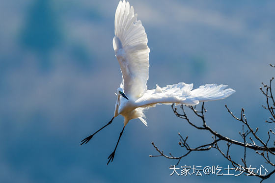 好多坛友喜欢爸爸拍的照片～进来看看吧～_照片