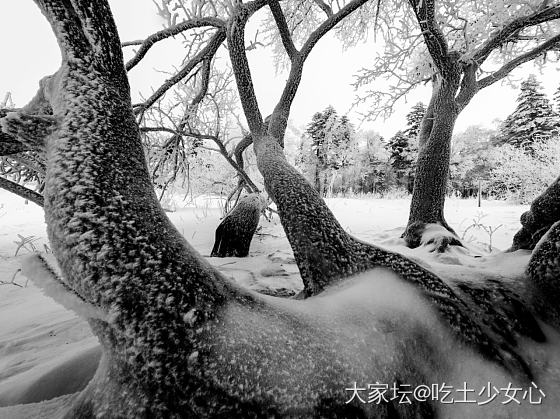 好多坛友喜欢爸爸拍的照片～进来看看吧～_照片