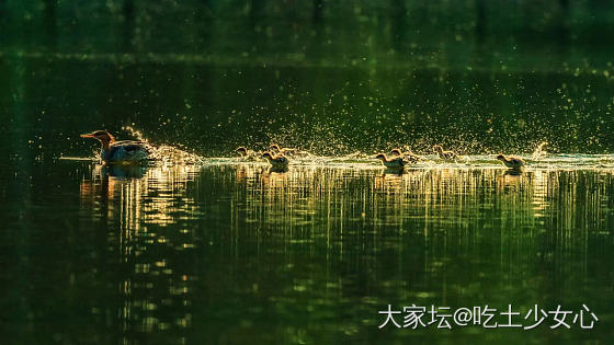 好多坛友喜欢爸爸拍的照片～进来看看吧～_照片