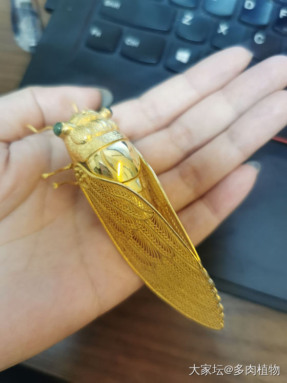 新欢_把玩件金
