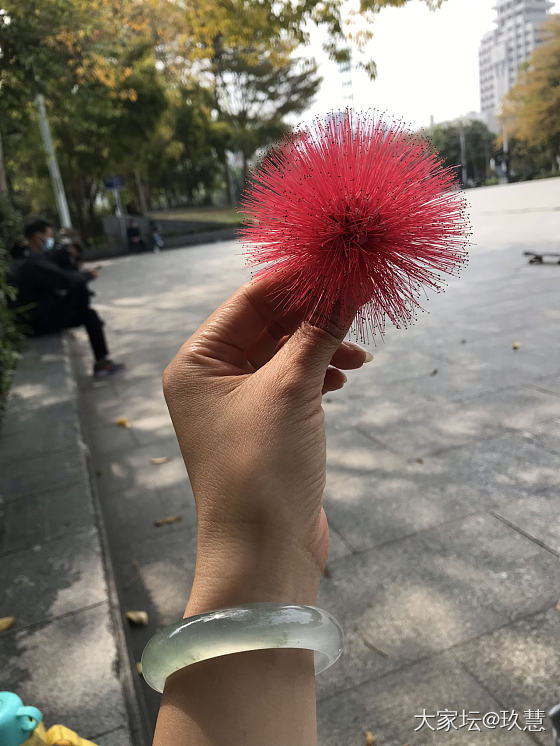 一朵不知名小红花！_翡翠