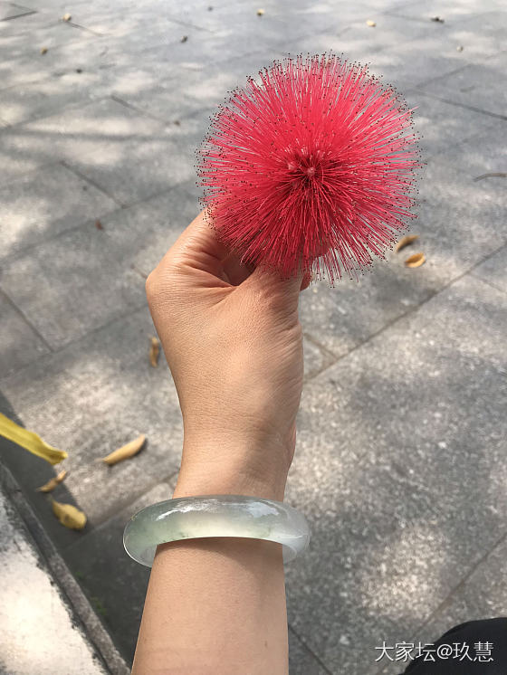 一朵不知名小红花！_翡翠