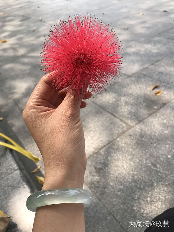 一朵不知名小红花！_翡翠