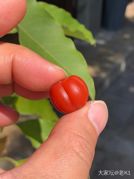 文玩南红配饰 不忘初心方得始终 只做原矿南红_文玩