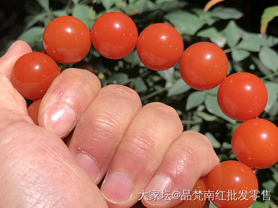 青出于蓝而胜于蓝_玉髓玛瑙