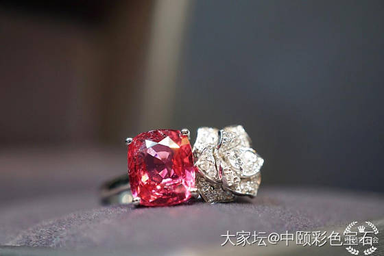 ##中颐天然马亨盖尖晶戒指##  2.59ct_尖晶石彩色宝石