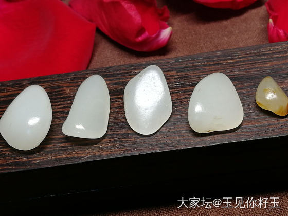 小籽们的春天来了～～～_和田玉
