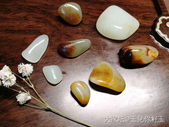 小籽们的春天来了～～～_和田玉