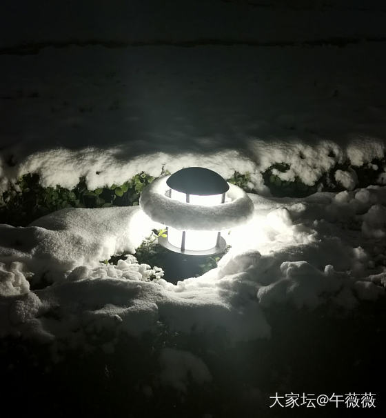 真正的雪绒绒_景色生活