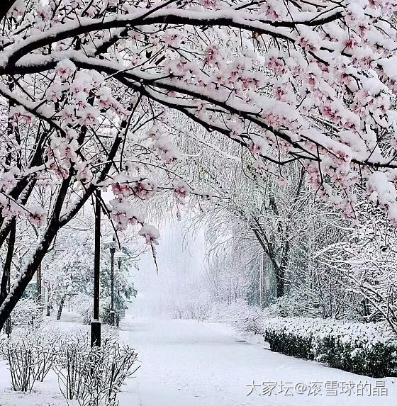 春雪_景色