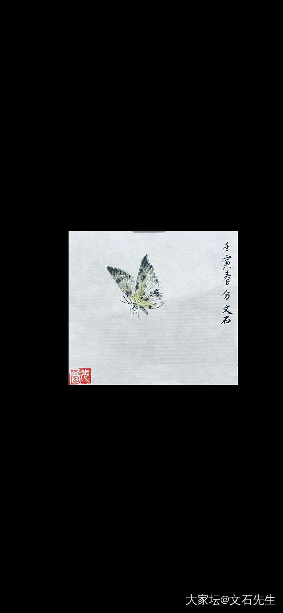 春分时节，雨也纷纷。
疫情防控，繁花无寻。
写此蝴蝶，郊外踏春。
